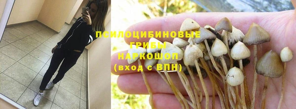 соль ск Сясьстрой