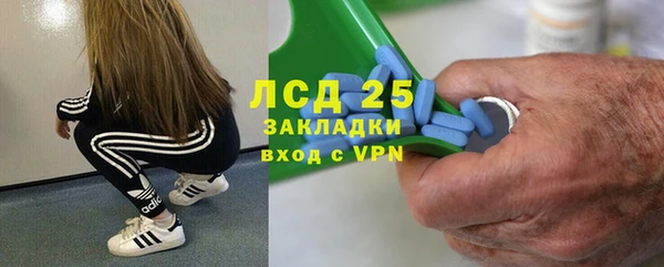 твердый Богданович