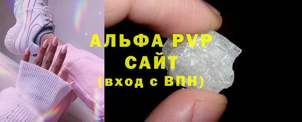 индика Богородицк