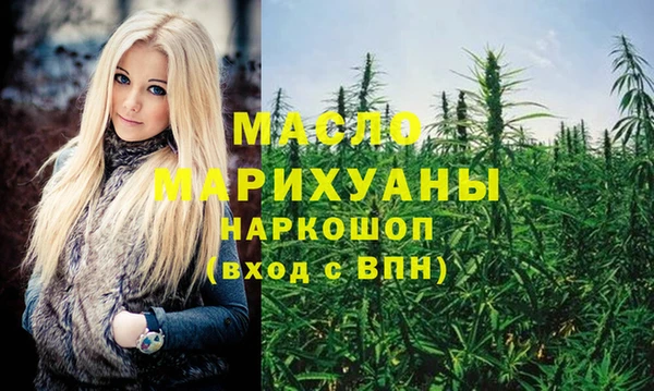 индика Богородицк